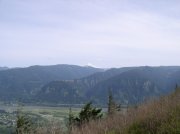 4.30.06 Hamilton Mountain 074 